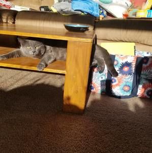 Meet your Posher, Michaela